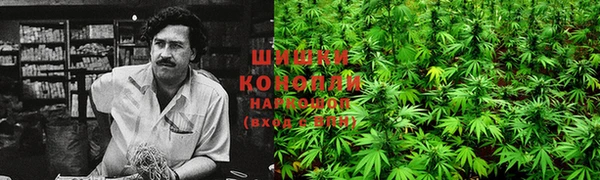 гидра Лихославль