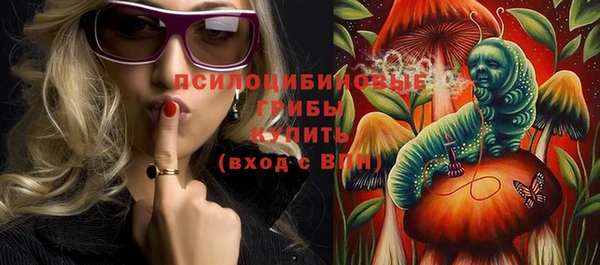 гидра Лихославль