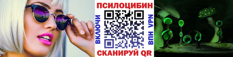 где можно купить наркотик  Поворино  Псилоцибиновые грибы MAGIC MUSHROOMS 